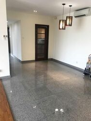 Twin Heights (D12), Apartment #541866621